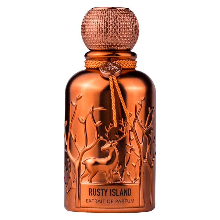 Auraa Desire Rusty Island Extrait de Parfum 100 ml for engroshandel hos S.C. ROMSCENT TRADING S.R.L.