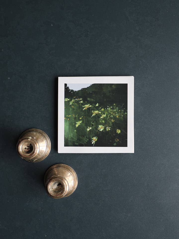 Wildflowers | Print on Canvas for wholesale by Sarah Madeira Day