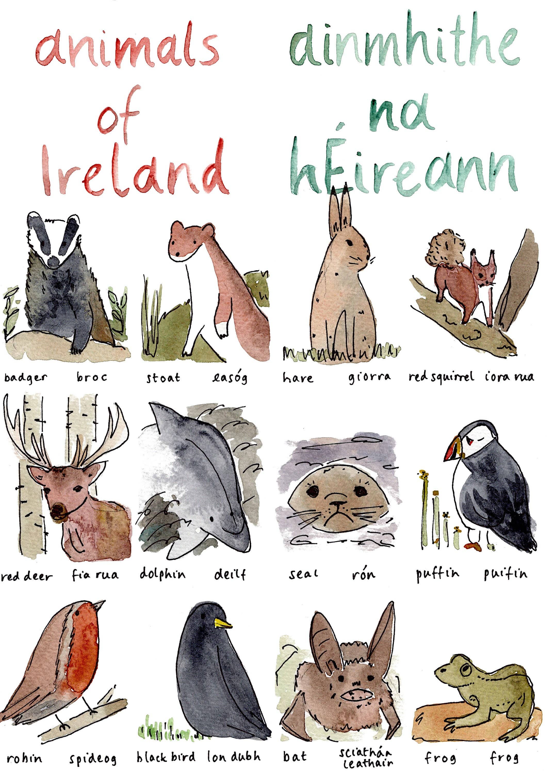 Hannah Lloyd Art - Vendita all'ingrosso Stampa artistica - Bambini e neonati - Stampa A4 animali d'Irlanda – Ainmhithe na hÉireann – Arte da parete bilingue per cameretta1