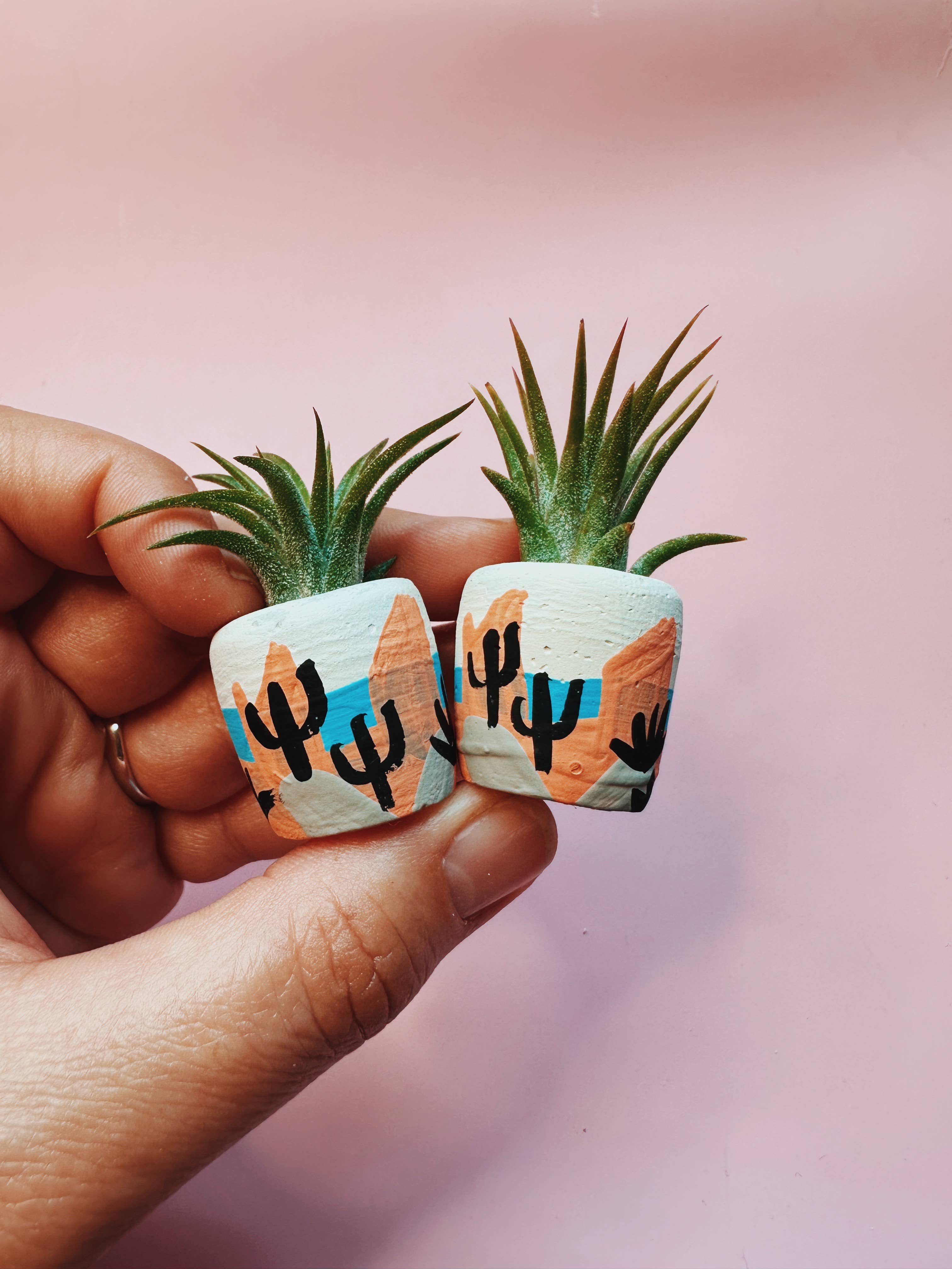 O'Berry's Succulents - Vente Pot - Mini jardinière Winslow1