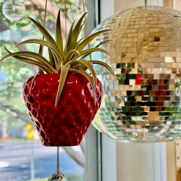 Queen City Crete - Wholesale Suncatcher - Suncatcher Strawberry Planter