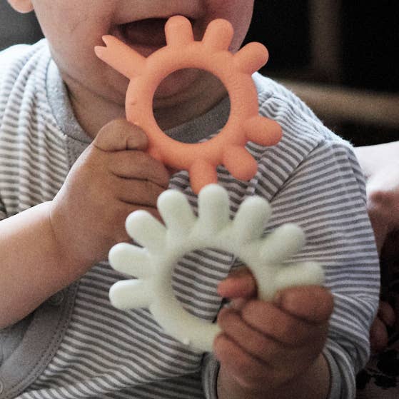 BORRN Baby Animal Teether - Octopus | BORRN Baby Animal Teether - Bird | BPA Free for wholesale by Borrn