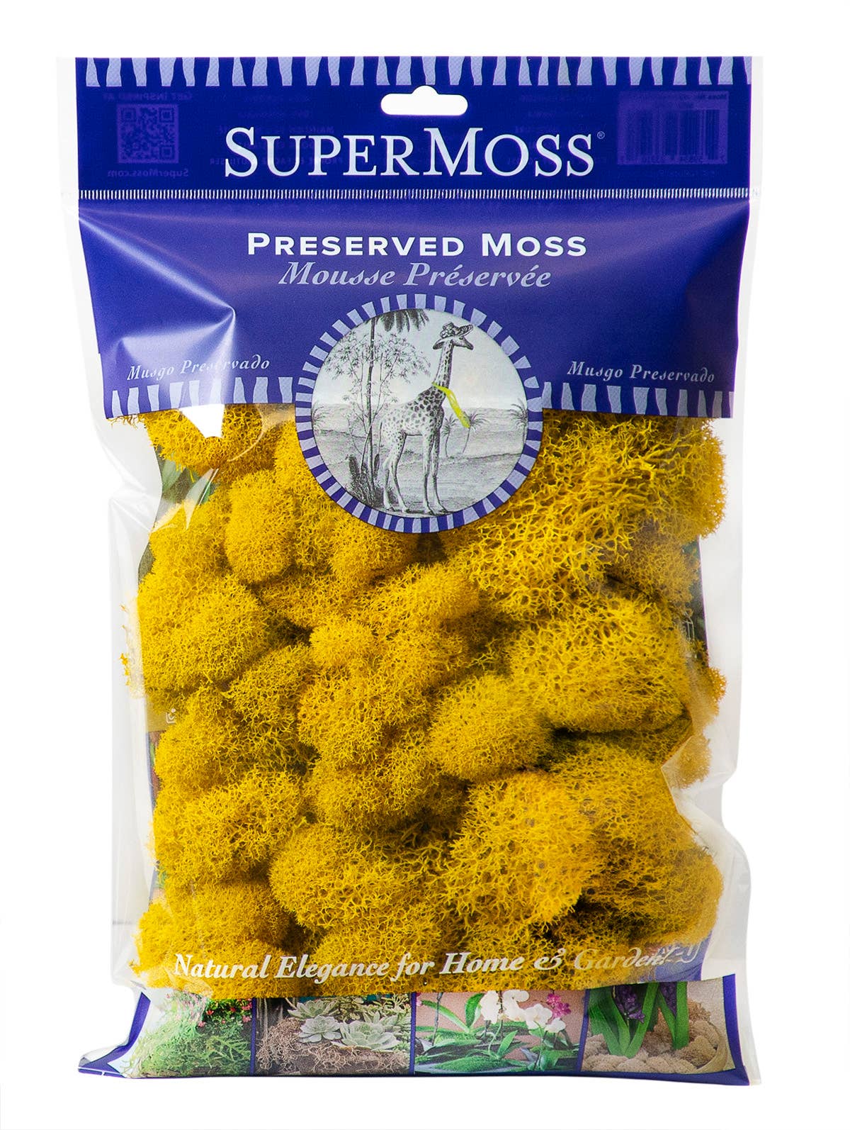 SuperMoss – Großhandel Pflanzen – SuperMoss Rentiermoos konserviert, 57 g Beutel18