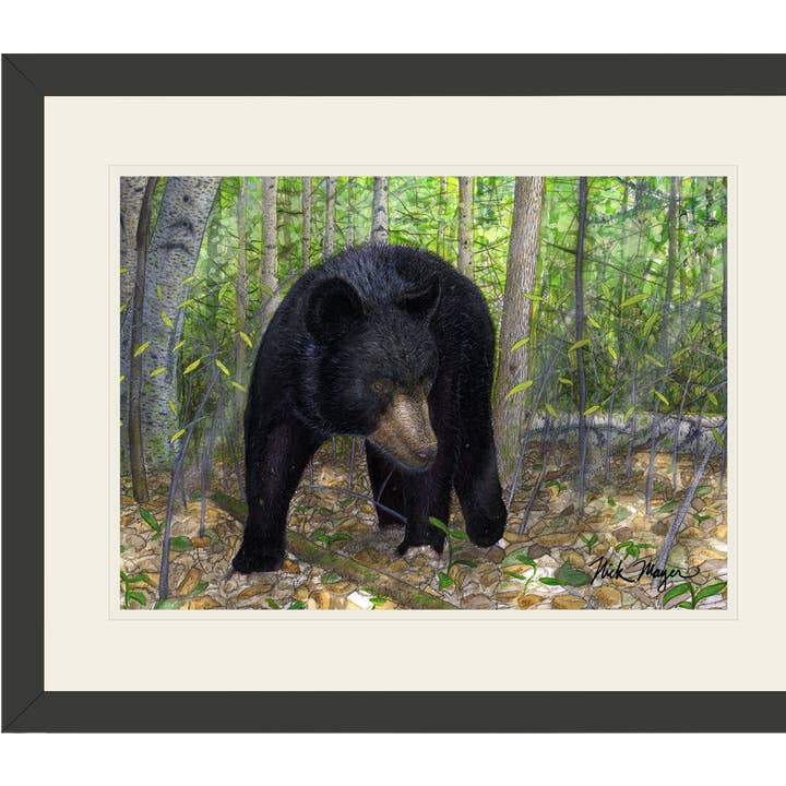 Impression Édition Limitée Ours Noir pour la vente par Nick Mayer Art