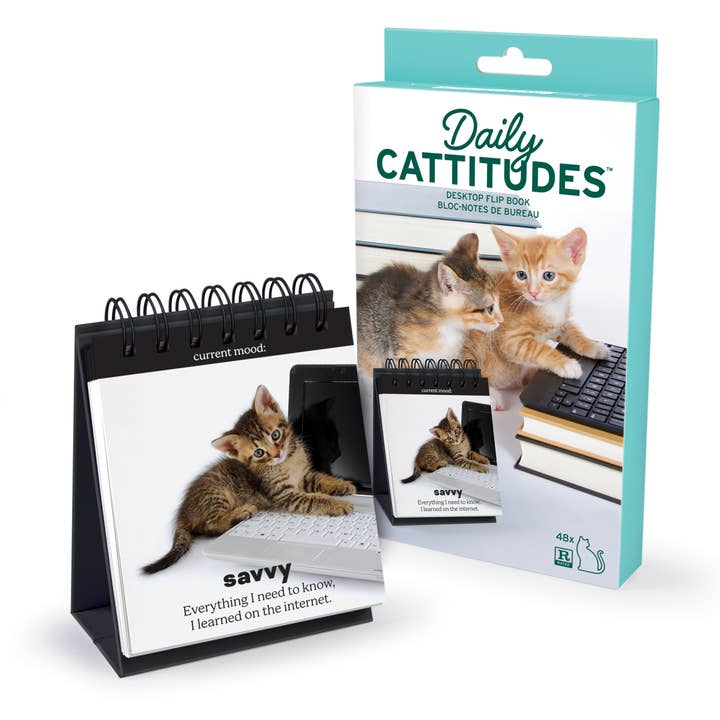 Daily Cattitudes - Flipchart für den Schreibtisch für den Großhandel von Fred & Friends