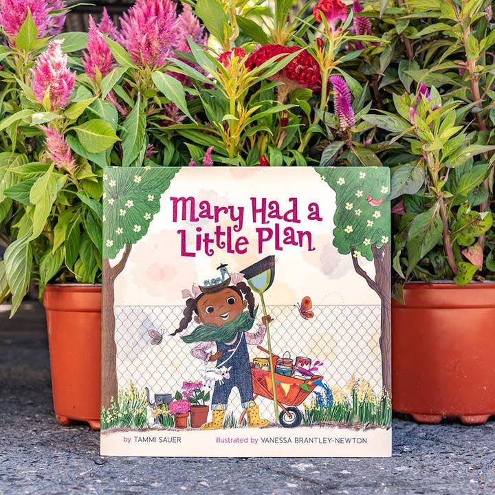 Hachette Book Group - Wholesale Preschool Book (3-5) - Mary Had a Little Plan by Tammi Sauer2