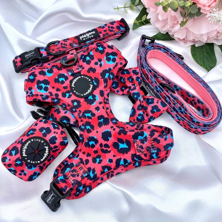 Pawsome Life – wholesale Pet collar – Dog – Dog Collar Puppy Collar Designer Dog Collar and Lead Leopard
