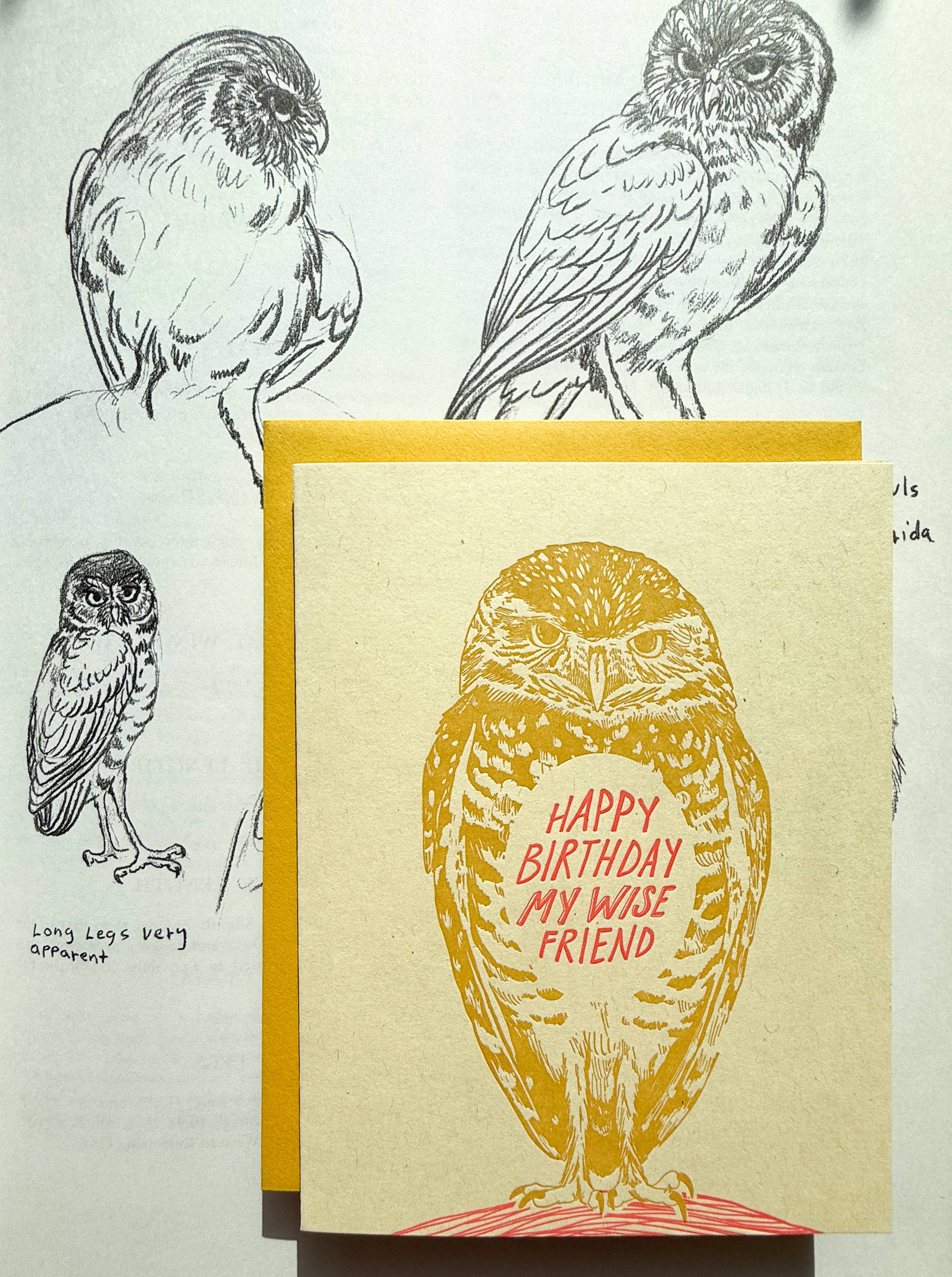 Blackbird Letterpress - Wholesale Birthday Card - happy birthday wise friend owl card2