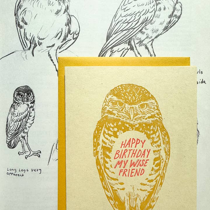 Blackbird Letterpress - Wholesale Birthday Card - happy birthday wise friend owl card2
