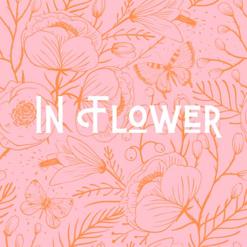 In Flower - Wholesale Confetti - No Waste Flower Confetti