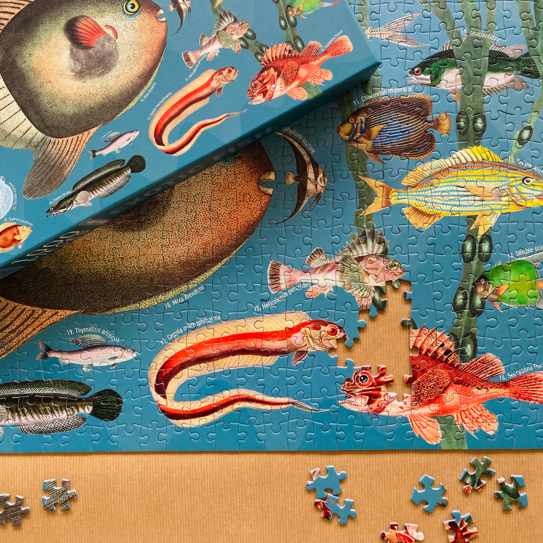 Penny Puzzle – wholesale Puzzle – Adult – Exotic Fish 1000 piece Vintage jigsaw puzzle4