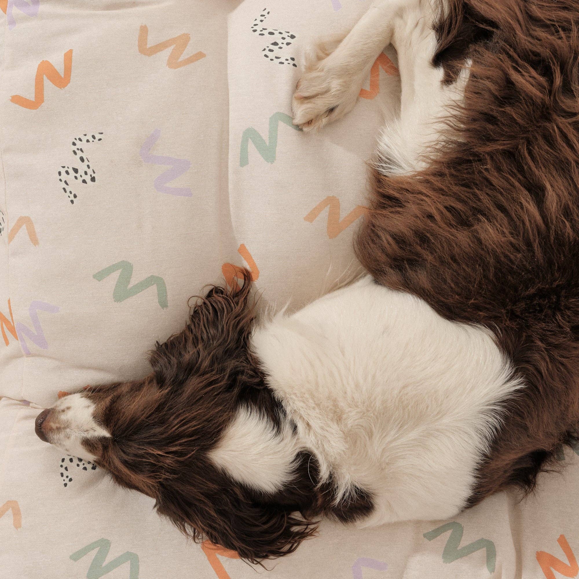 SG HOGAR – cama - Gato e cão por atacado – Cama acolchoada para cães e gatos em algodão resistente a manchas 0120-2013