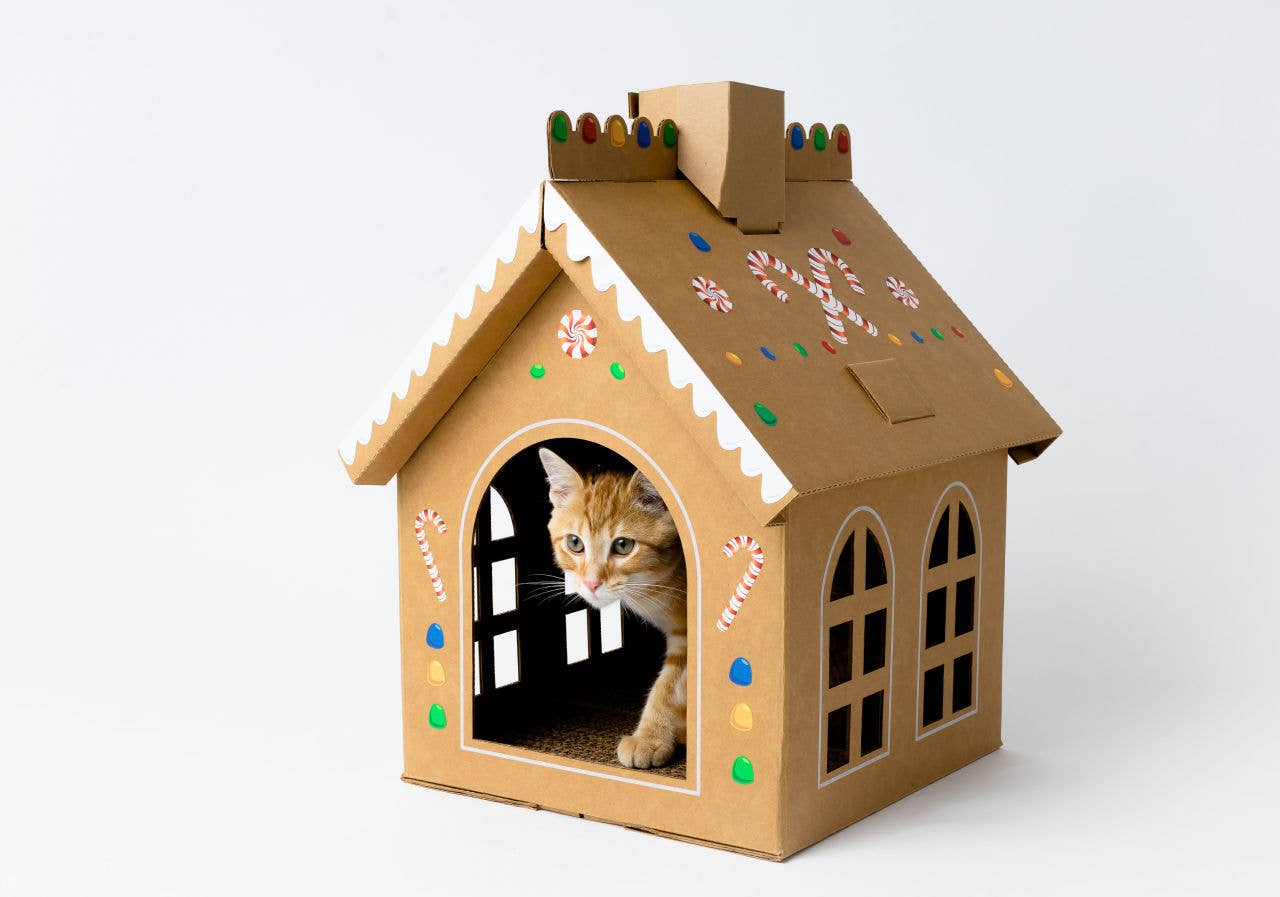 Cat in the Box LLC - Vendita all'ingrosso Tiragraffi - Gatti - Casetta natalizia in cartone con pan di zenzero per gatti7