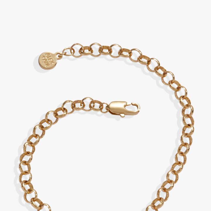 Alex and Ani - Wholesale Charm/Dangle Bracelet - Looney Tunes™ Tweety Heart Bracelet6