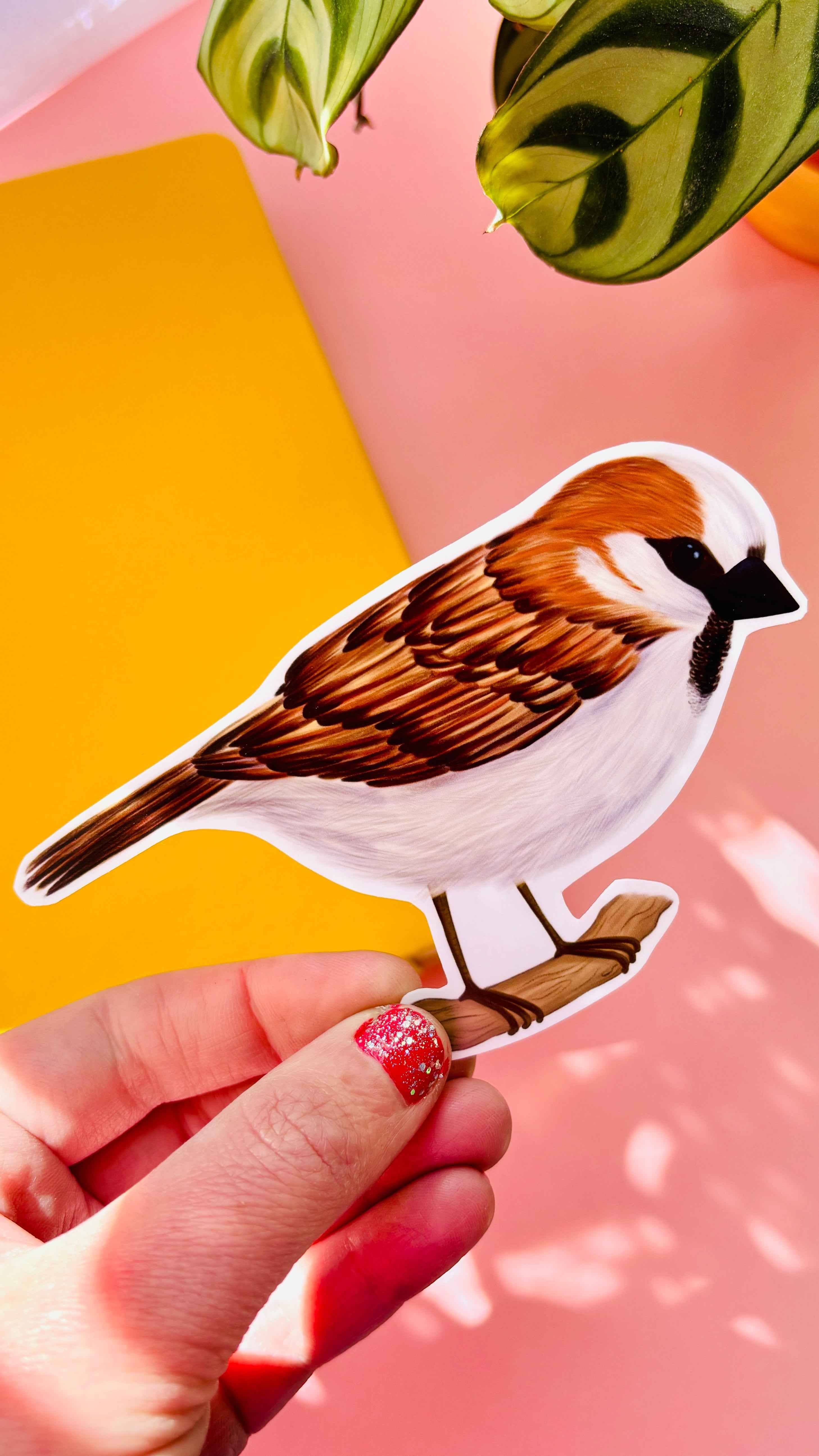 Pixiecraft - Wholesale Sticker - Garden Birds 10cm Vinyl Stickers: Nature Inspired Waterproof Decals8