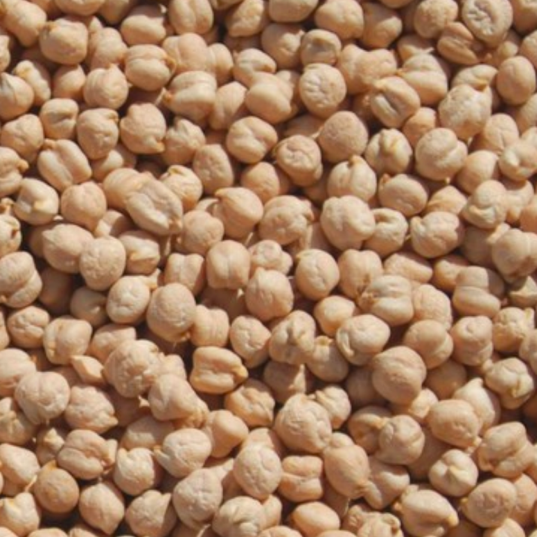 Timeless - Wholesale Beans - Organic Garbanzo Beans2