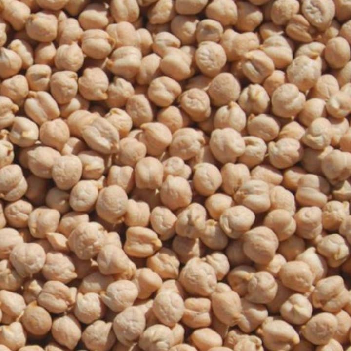 Timeless - Wholesale Beans - Organic Garbanzo Beans2