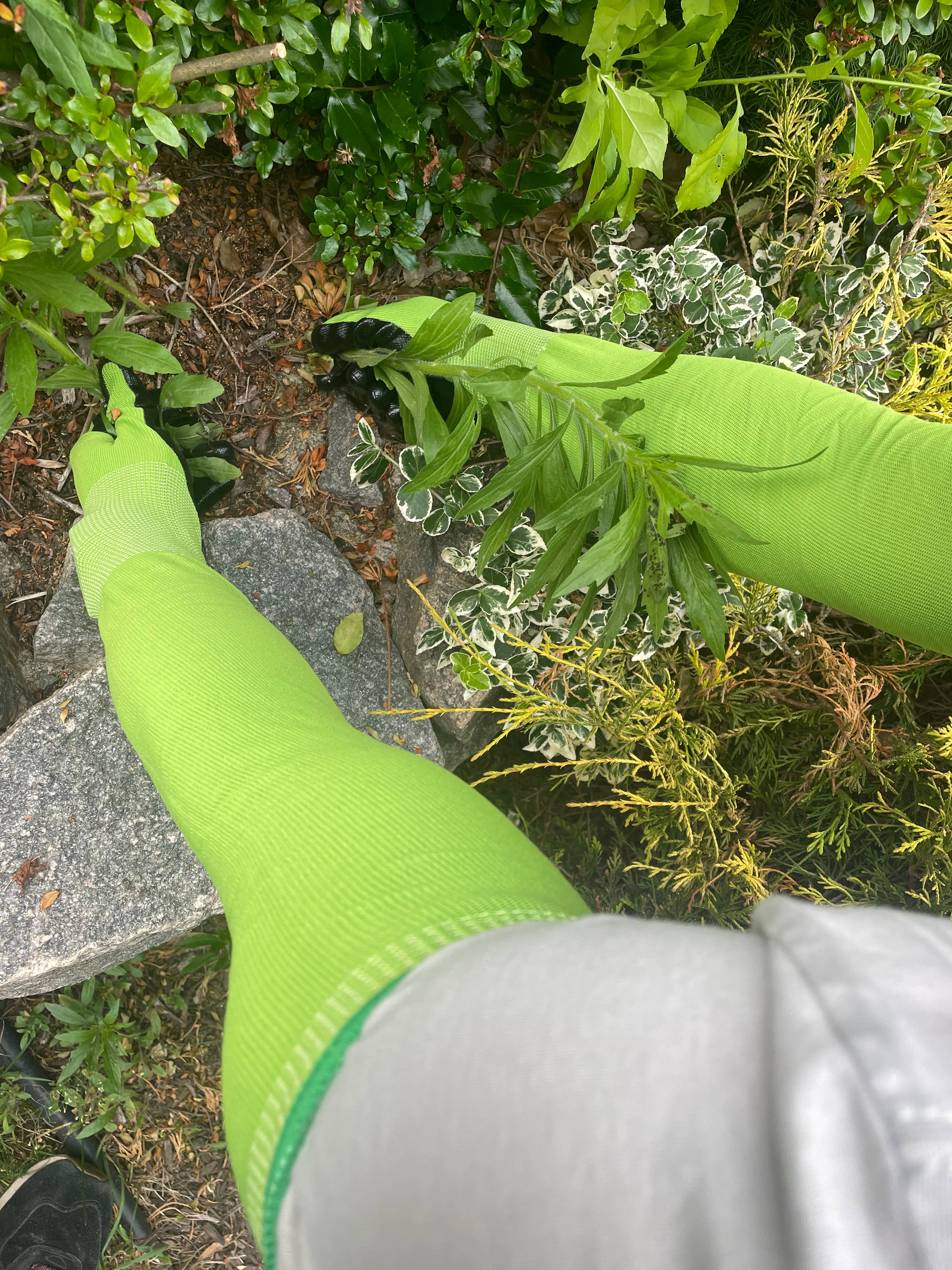 CharGuy Gear – Großhandel Gartenhandschuhe – Langarm-Arbeitshandschuhe für den Garten, Schutzhüllen10