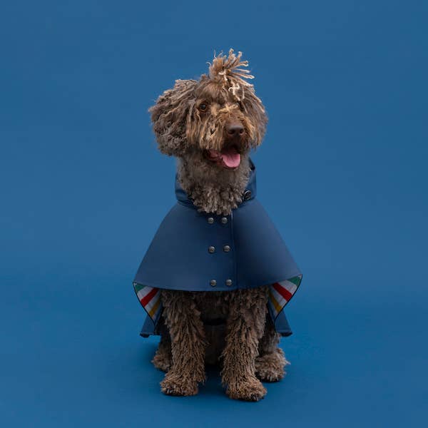 ARISTOPET - Wholesale Hondenregenjas - Hond - William waterdichte hondenjas4