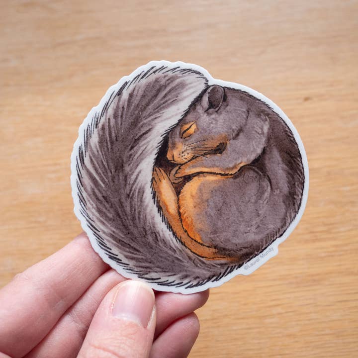 Sleepy Squirrel 3" Vinyl Sticker dishwasher safe for wholesale by Laurel Mundy Illustration