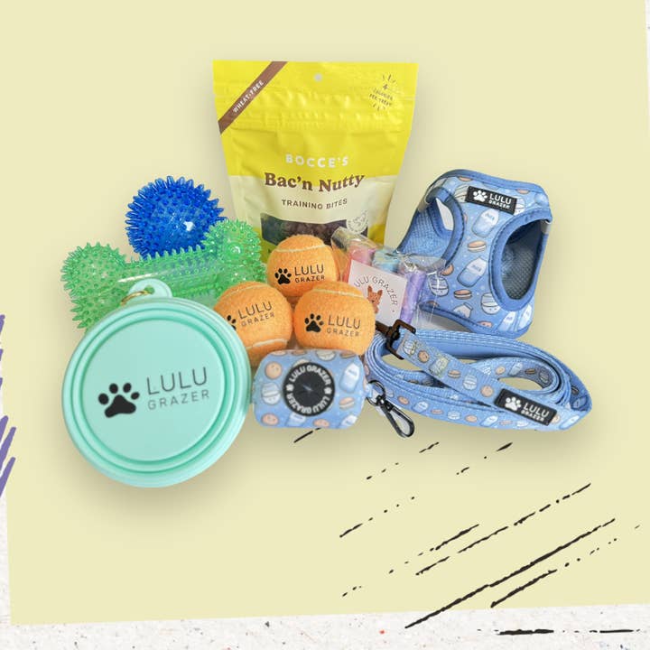 Nouvelle boîte à chiots pour la vente par Lulu Grazer