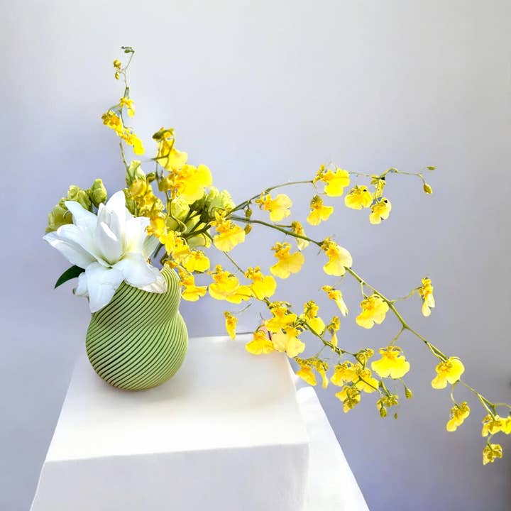 Bloom 100% * Matcha for wholesale by Pink Stories