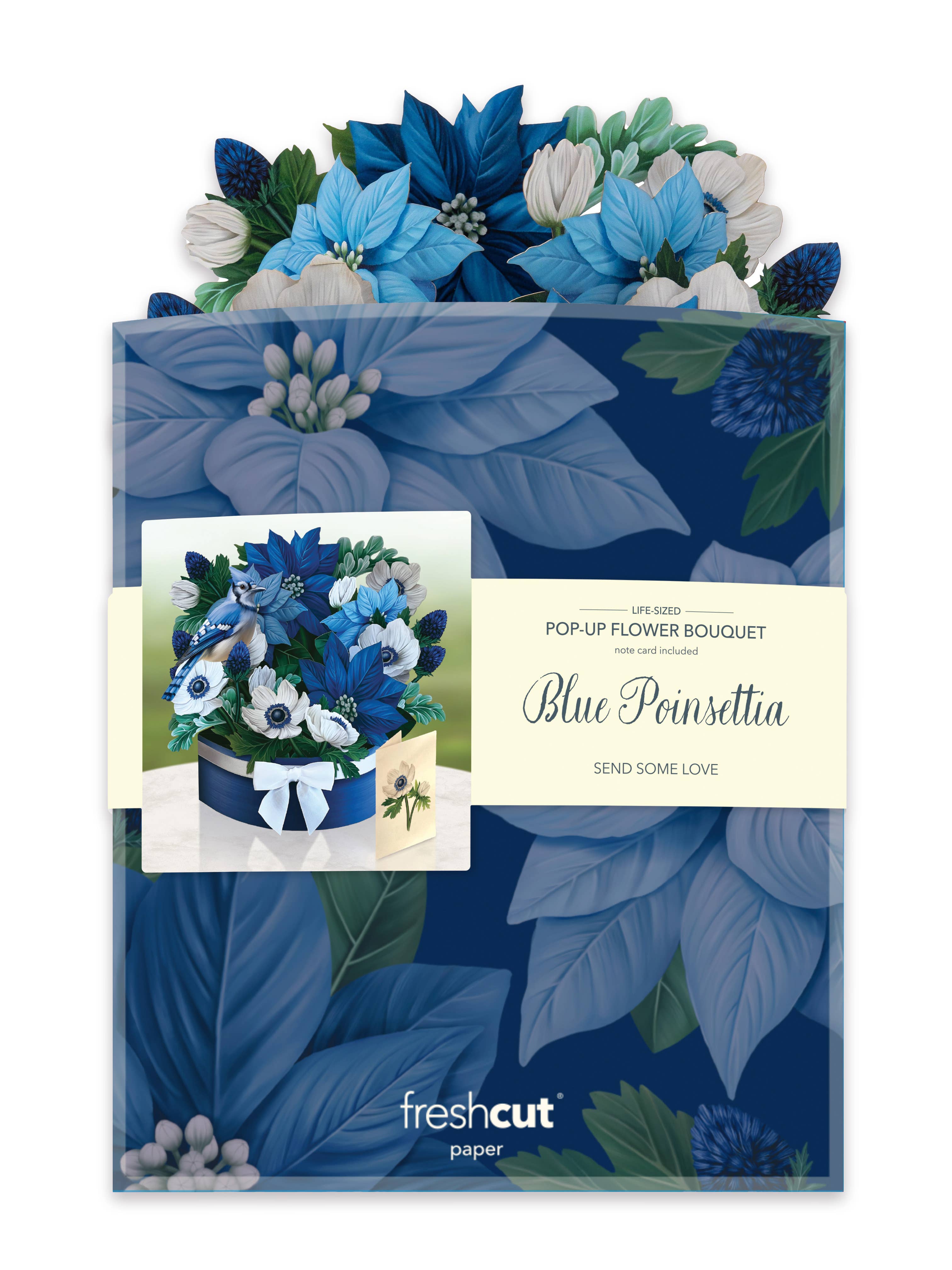 FreshCut Paper LLC - Venta al por mayor Tarjetas de felicitación - Flor de pascua azul (8 tarjetas de felicitación desplegables)4