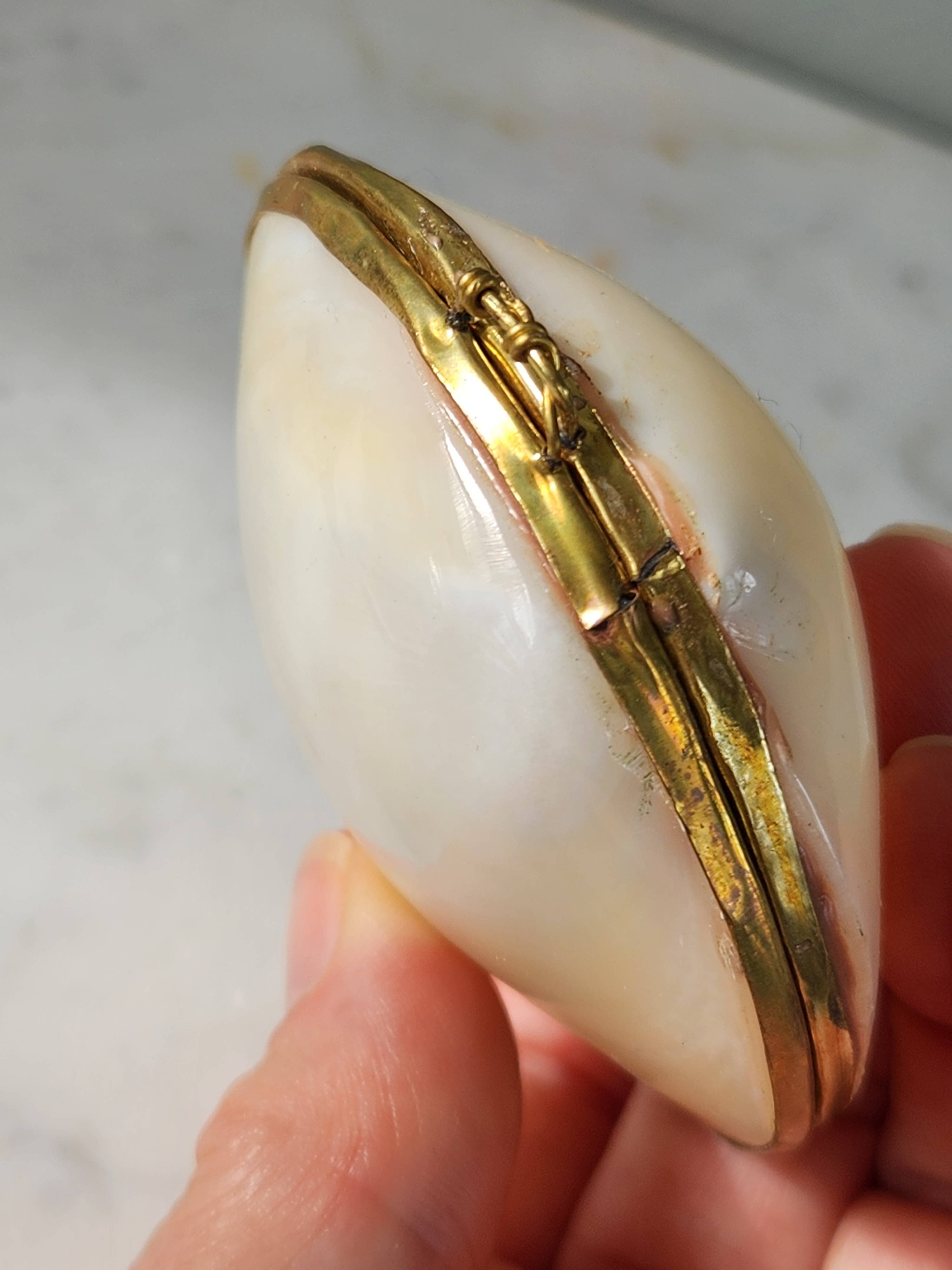 White Tulip Boutique - Wholesale Decorative Box - Mini Clam Trinket Pill Box, Coin Purse3