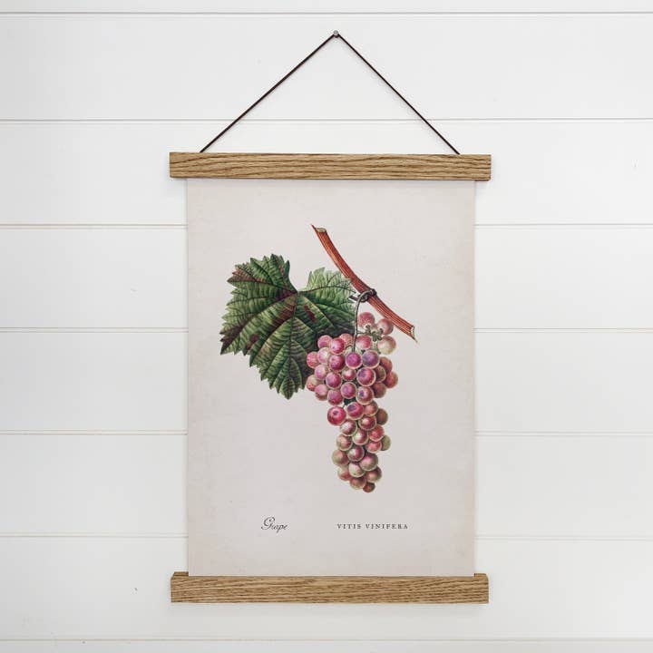 Fruit Art - Toile à suspendre vintage encadrée de raisins - Art de cuisine pour la vente par Hangout Home