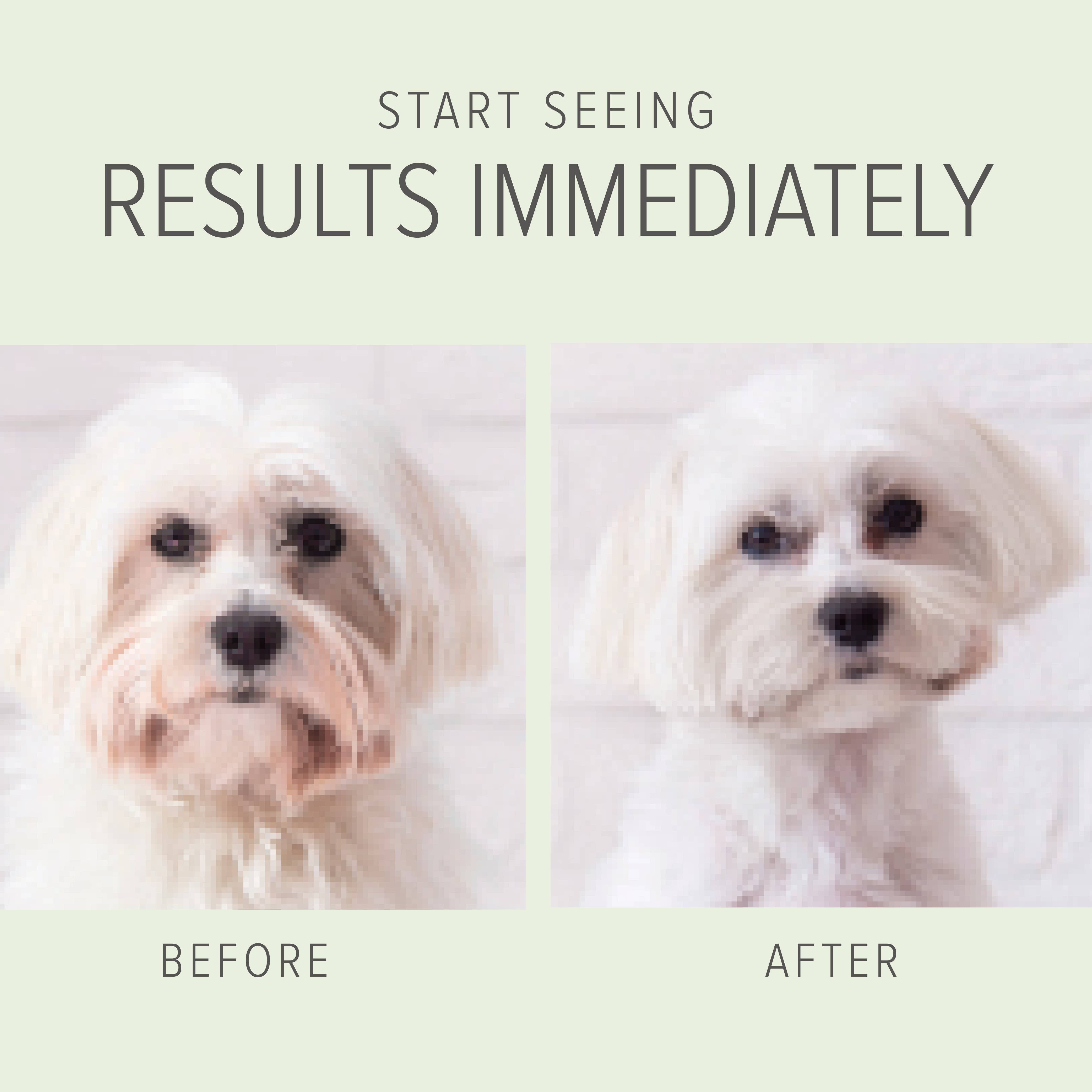 Pure and Natural Pet - Wholesale Pet Shampoo - Dog - Brilliant White Coat Shampoo for Dogs  - 1 Gallon2