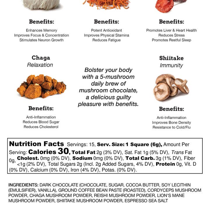 Buoyant Chocolates & Confections - Wholesale Chocolate Bar - RITUAL: A Five Mushroom Blend Dark Chocolate Espresso Bar1