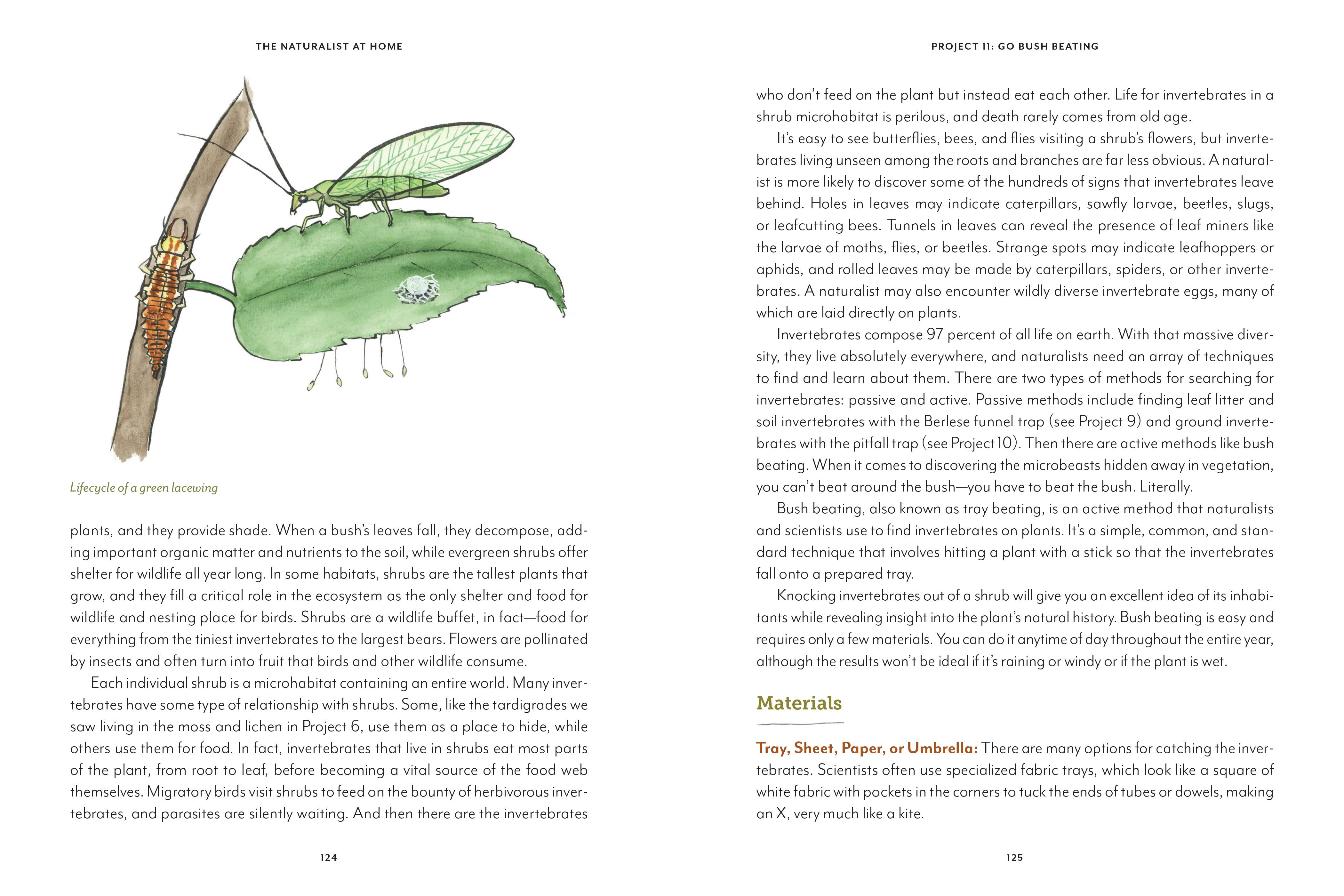 Mountaineers Books - Wholesale Nature & Outdoors Book - The Naturalist at Home7