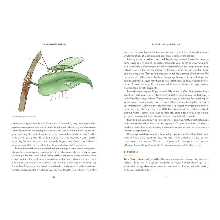 Mountaineers Books - Wholesale Nature & Outdoors Book - The Naturalist at Home7