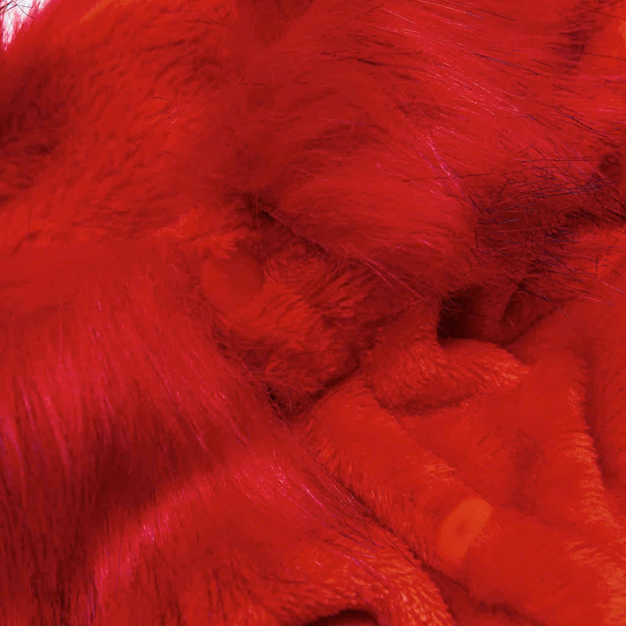 Sparkles Home - Wholesale Hondentrui - Hond - Rambla petvestje3