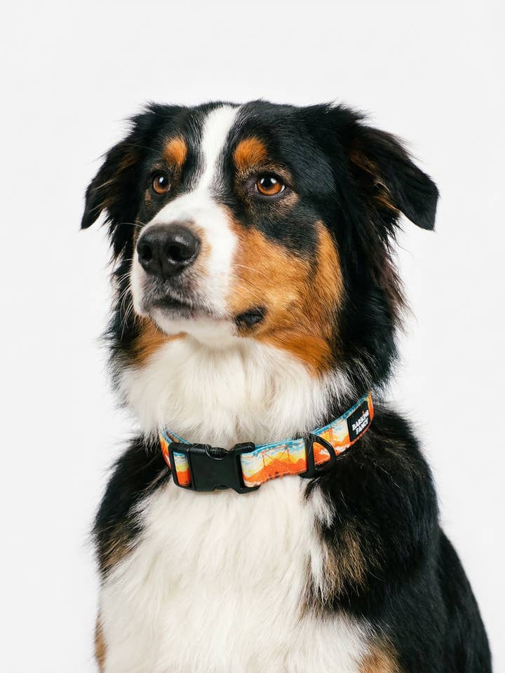 Mountainscape Adjustable Dog Collar - Orange for wholesale by Barking Fancy