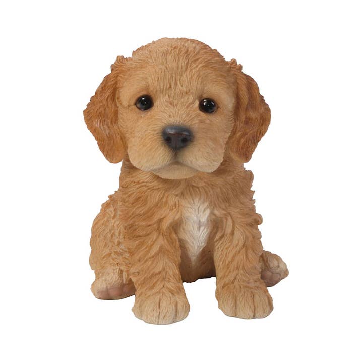 Amici Animali: Statua di Cucciolo di Cockapoo Marrone per la vendita all'ingrosso da parte di Hi-Line Gift Ltd.