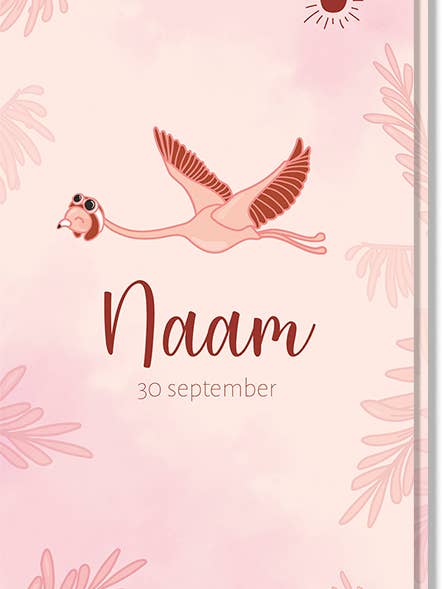Geboortekaartje Flamingo for engroshandel hos liefs jansje