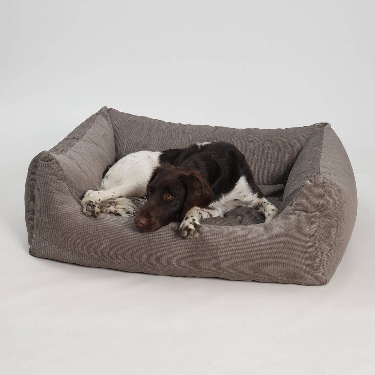 DOGS in the CITY® - Wholesale Pet Bed - Dog - Madison stone dog bed box bed2