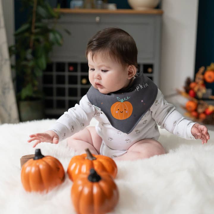 Ziggle Baby - Wholesale Bandana bib - My L'il pumpkin bib3