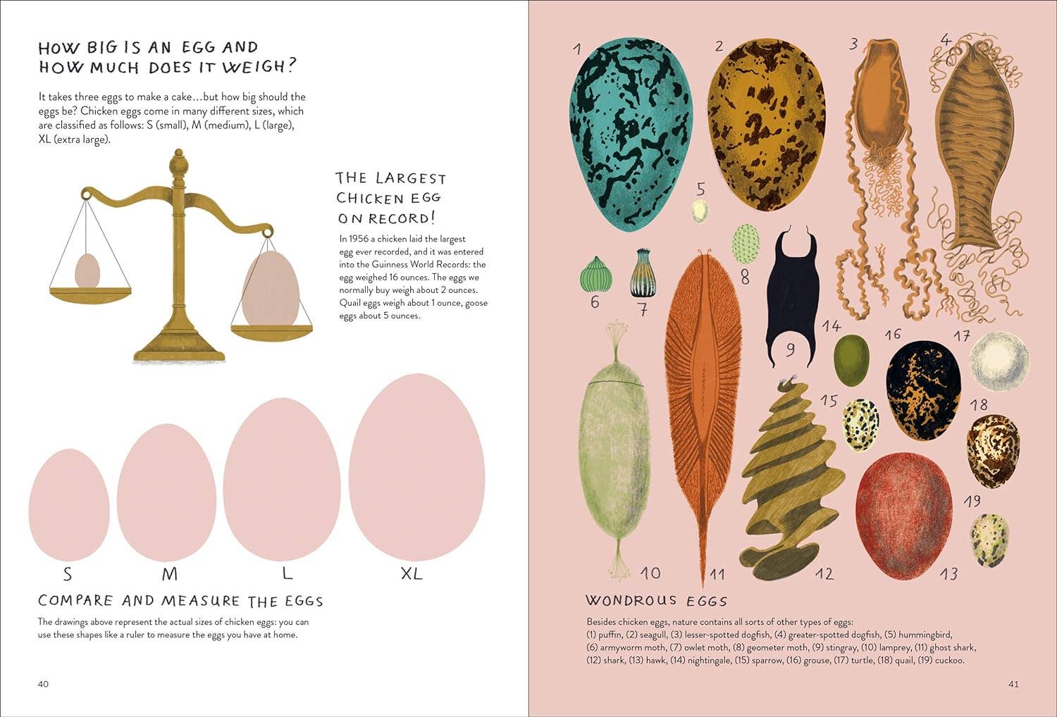 Chronicle Books - Wholesale Early Reader Book (6-8) - Chickenology6