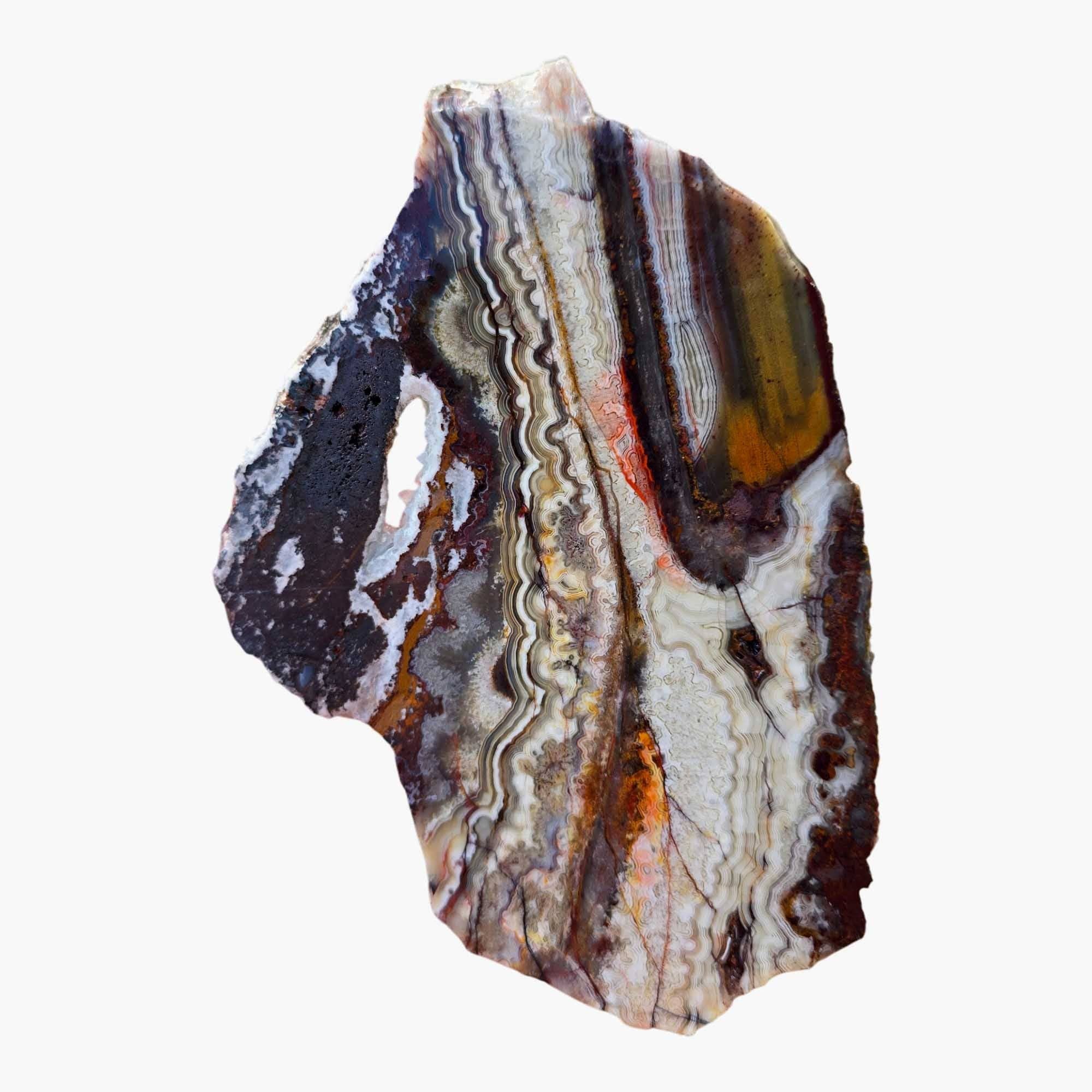 Lapidary Central - Wholesale Spiritual Stone/Crystal - Crazy Lace Agate Slab - Laguna Red Fireworks - Mexican Vintage Quality3