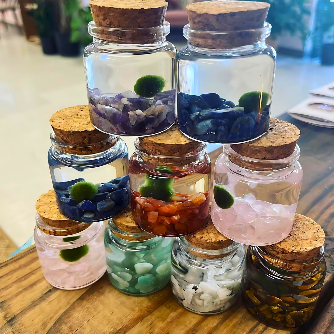 Moss Amigos | Moss Ball Terrariums - Wholesale Live Plant - Small Marimo Moss Ball Terrarium with Tiger Eye Gemstones5