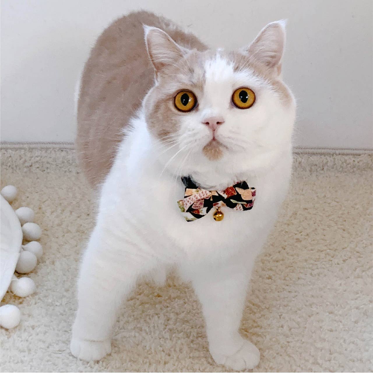 MOON-X USA, INC. - Wholesale Pet Collar - Cat - Chirimen Kimono Bow Tie Cat Collar (Black)7
