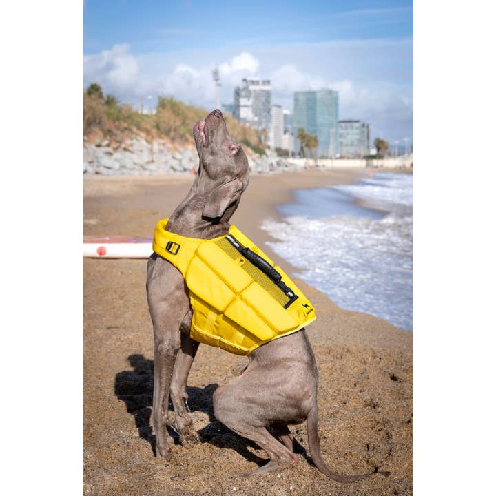 NOAH AND PAW LLC – Großhandel Haustierjacke – Hund – Human Standards Hundeschwimmweste mit 4-facher Schaumpolsterung für maximale Auftriebskraft – Gelb18