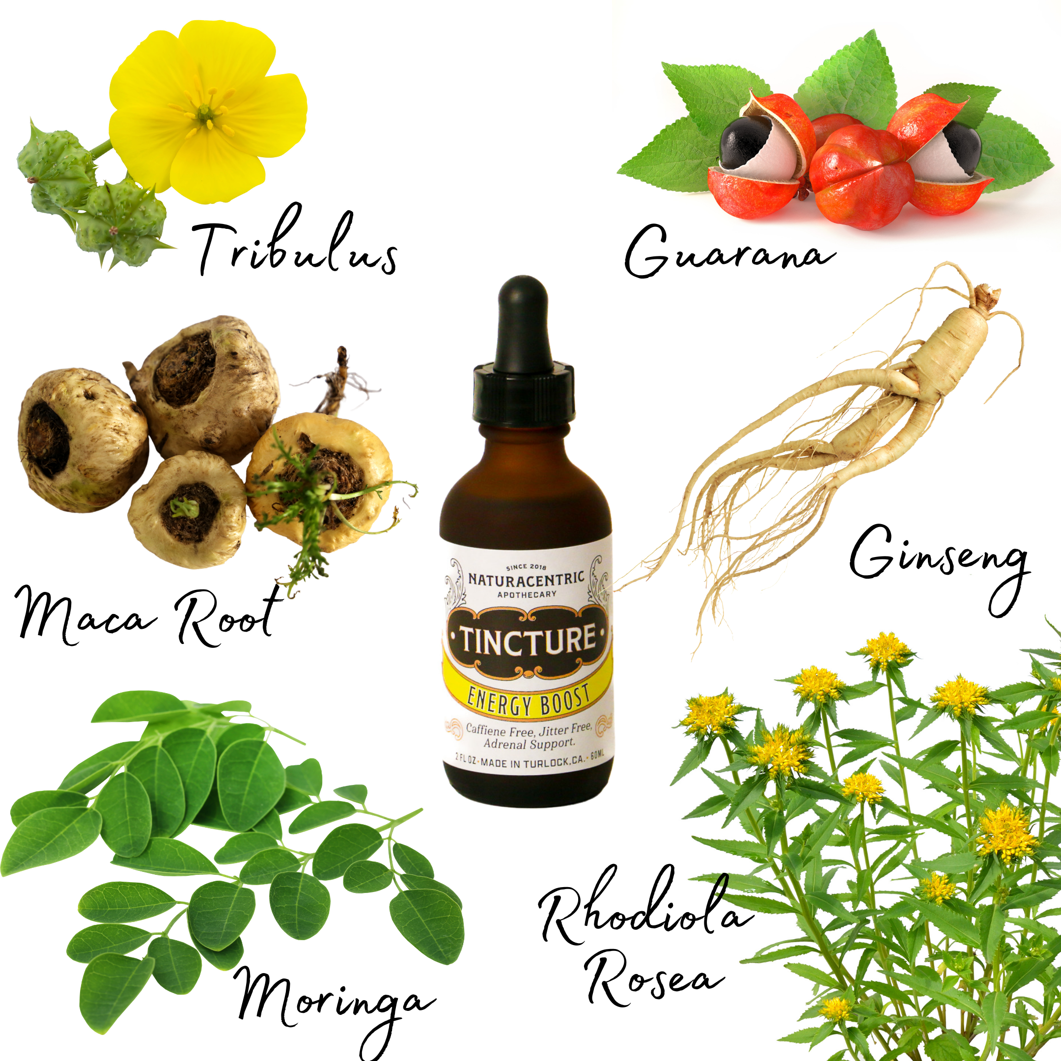 Naturacentric – wholesale Tincture – Energy Boost Tincture1