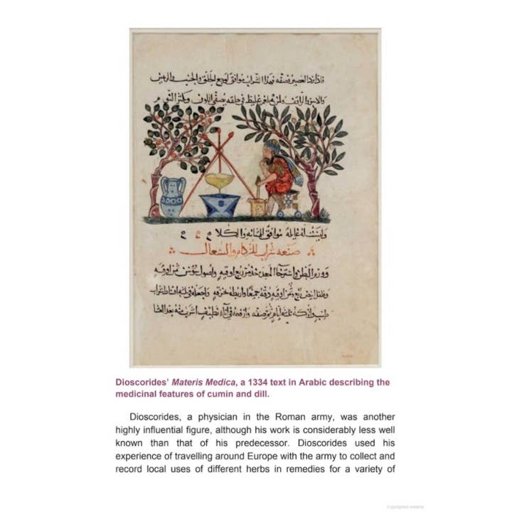 Microcosm Publishing & Distribution - Wholesale Book - Adult - Herbal Elixirs: A Guide to Making Your Own Medicinal Drinks
