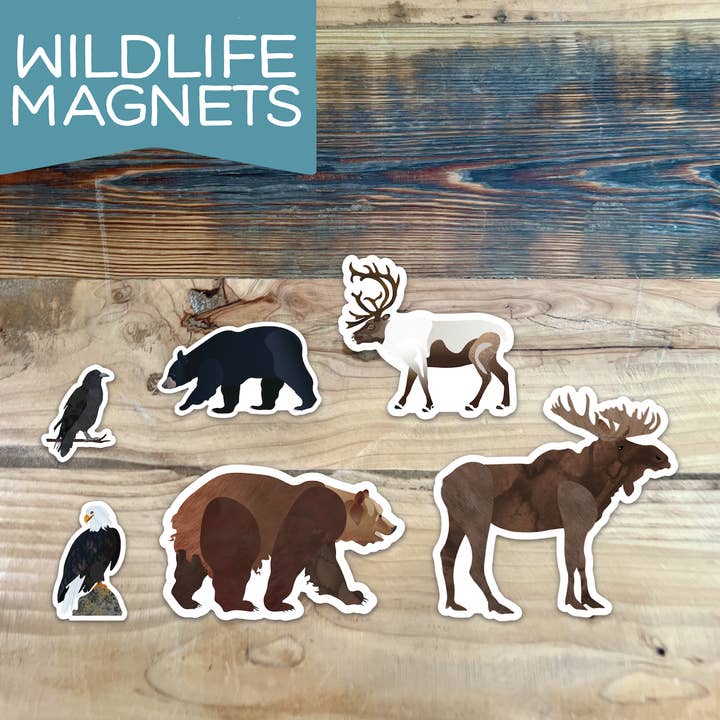 Wren and the Raven - Wholesale Magnet - Wildlife Magnets5