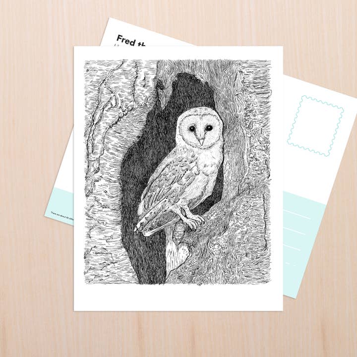 Barn Owl Art for wholesale by Coy Ink Studio