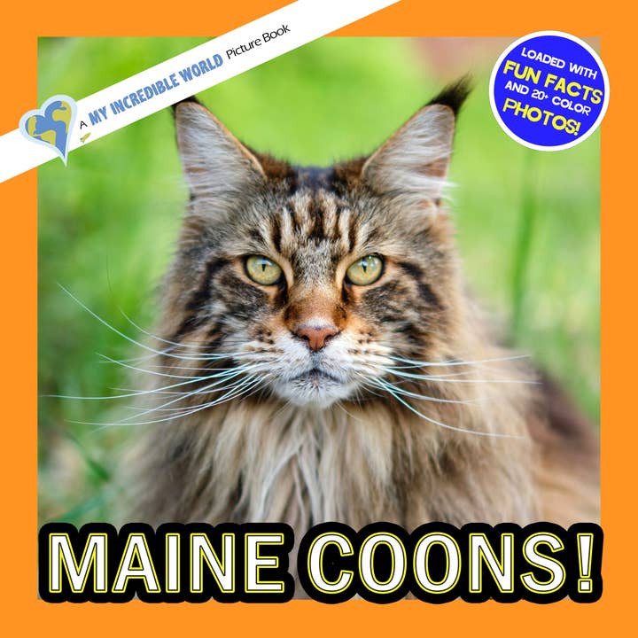 Maine Coons! En fantastisk världsbilderbok för barn för wholesale av My Incredible World