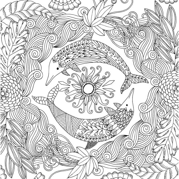 Peter Pauper Press - Wholesale Coloring & Activity Book - Adult - Follow Your Dreams Artist's Coloring Book9